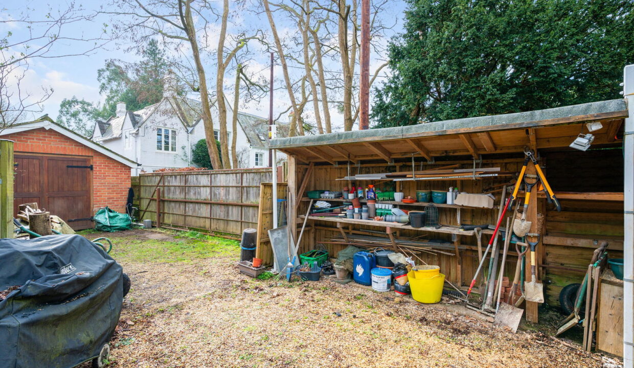 THE-STUDIO-_31__1771252512177