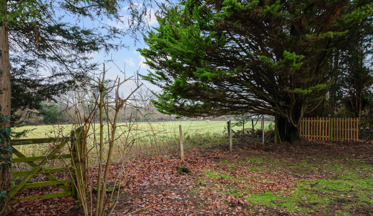 TREE-TOPS-EXTERNALS-_4__1769794856767