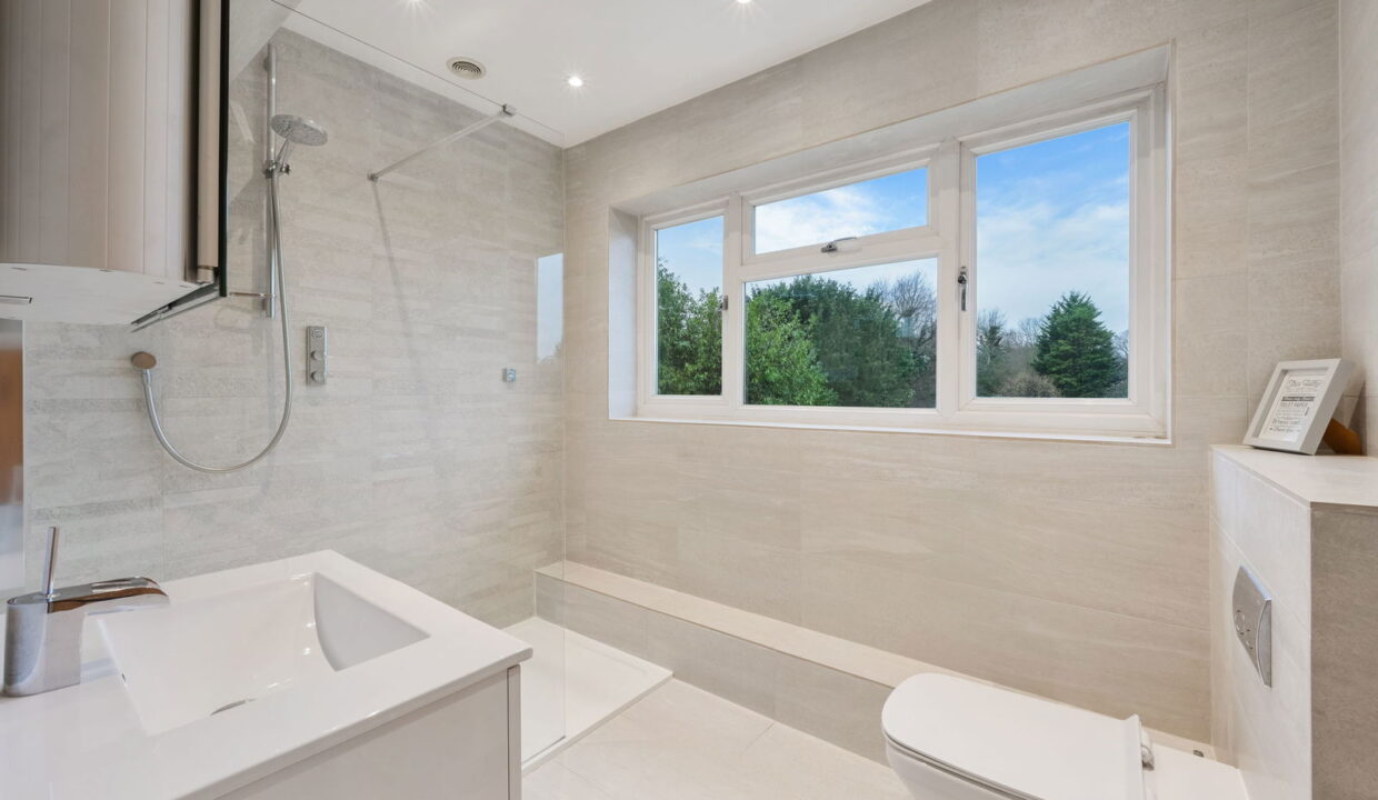 TREES-TOPS-_10__1769794808716