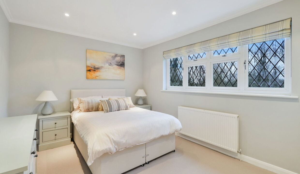 TREES-TOPS-_11__1769794835562