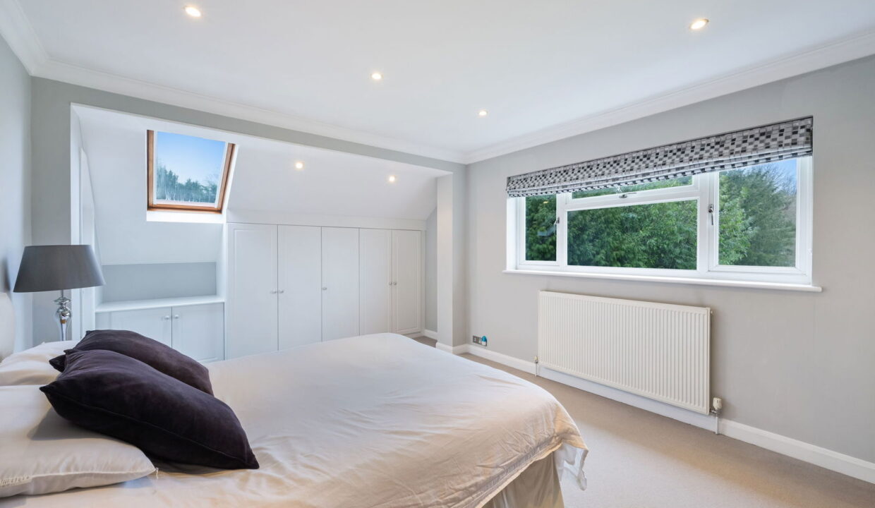 TREES-TOPS-_12__1769794835566