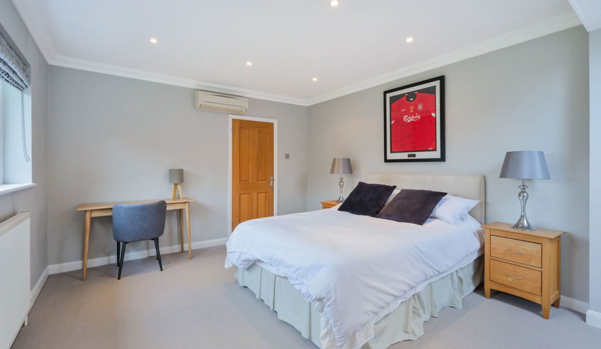 TREES-TOPS-_13__1769794835567