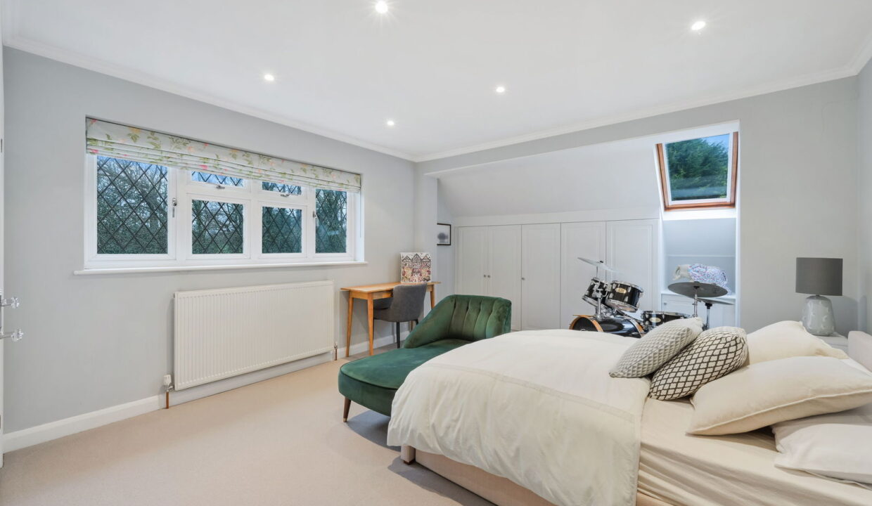 TREES-TOPS-_15__1769794835569