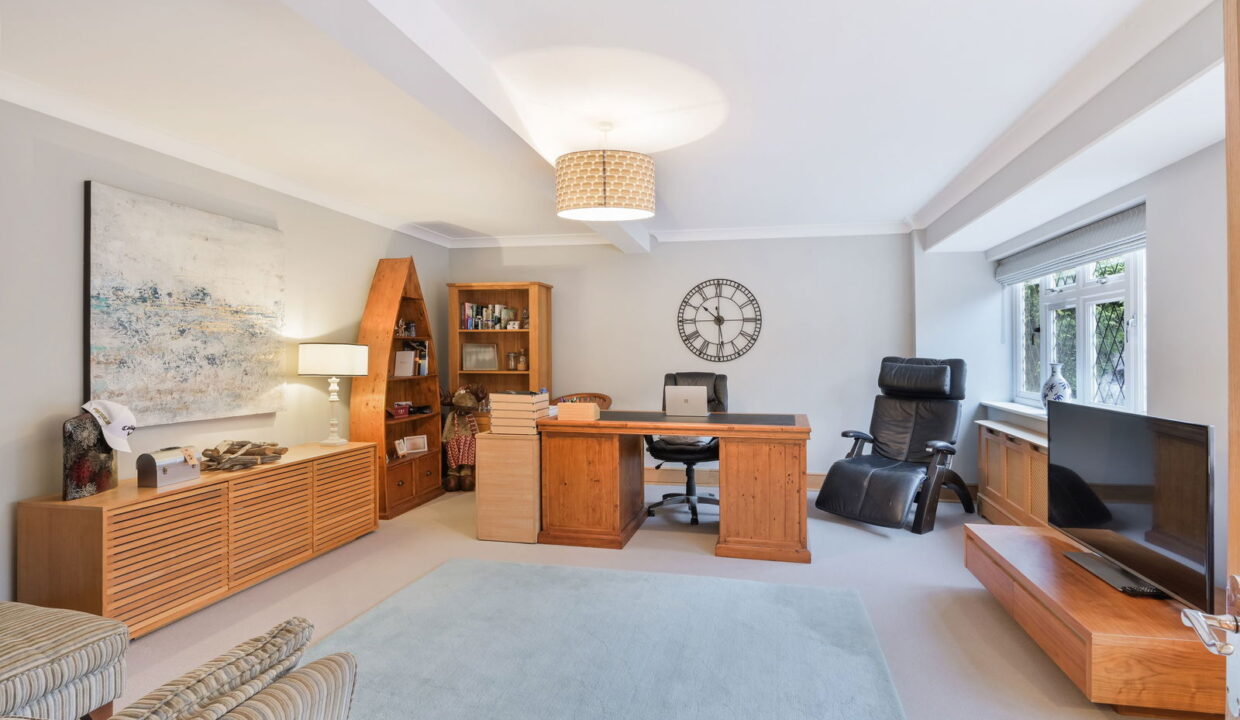 TREES-TOPS-_22__1769794847623