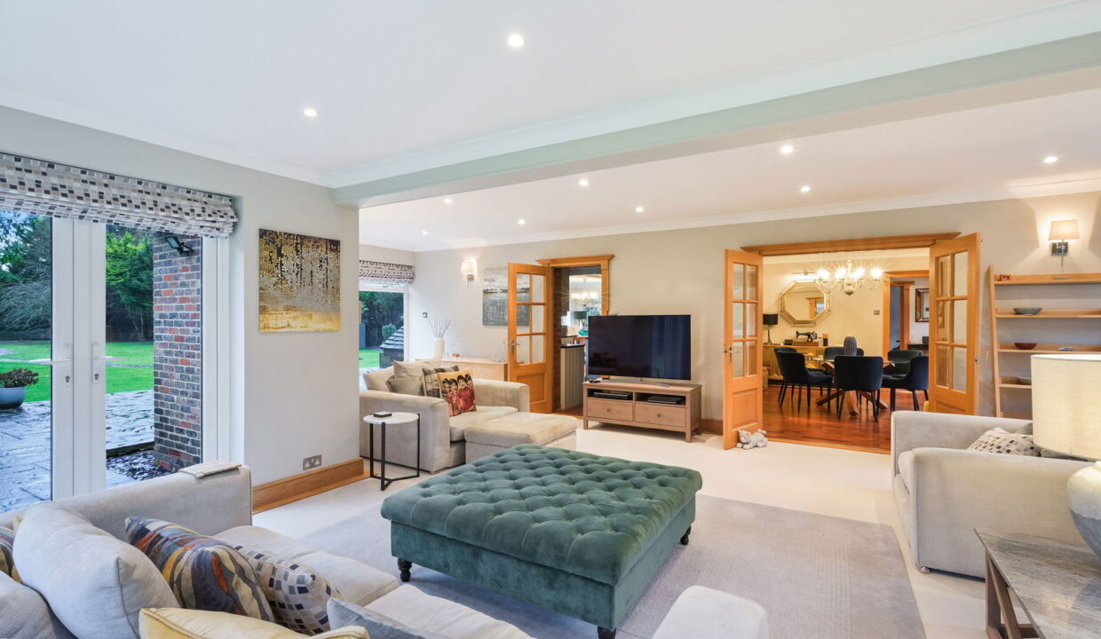 TREES-TOPS-_24__1769794847625