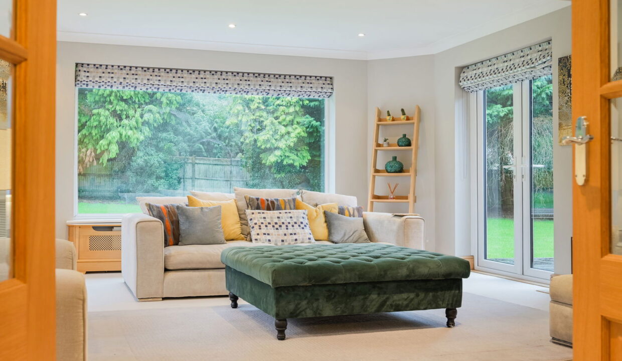 TREES-TOPS-_3__1769794808711