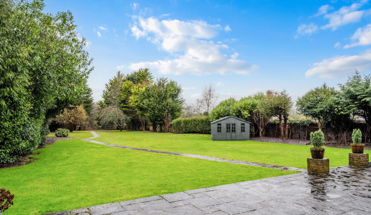 TREES-TOPS-_4__1769794808712