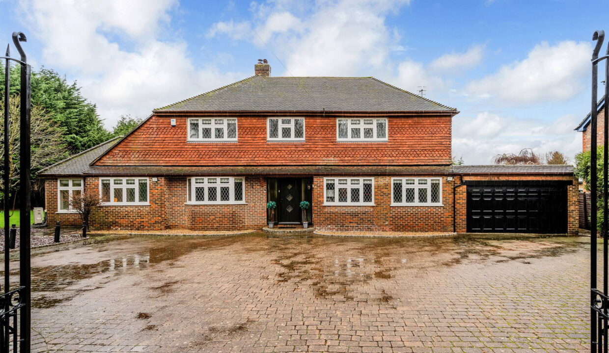 TREES-TOPS-_6__1769794808713