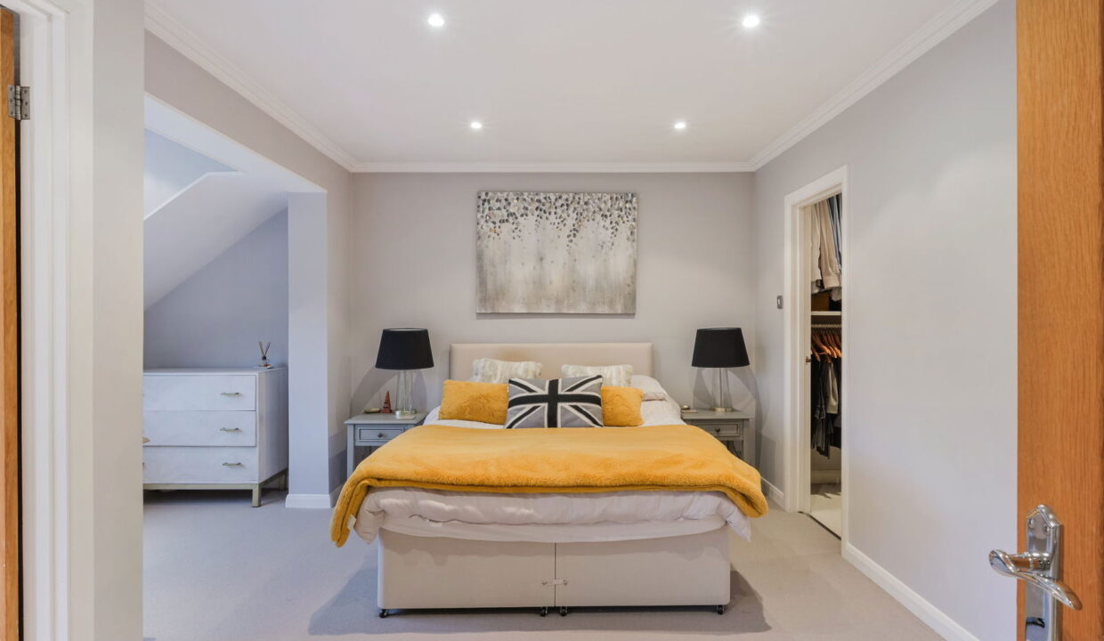 TREES-TOPS-_7__1769794808714