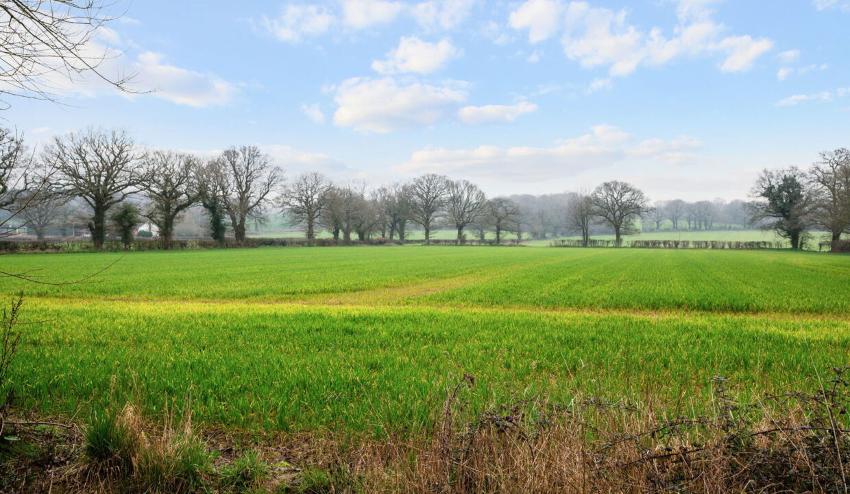 ERMYN-COTTAGE_-6-EXTERNALS-_2__1773074751220