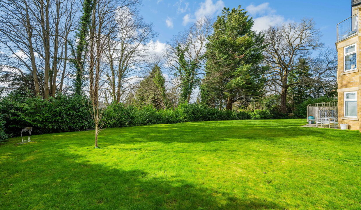 OAKPINES_-4-_1__1772271016782