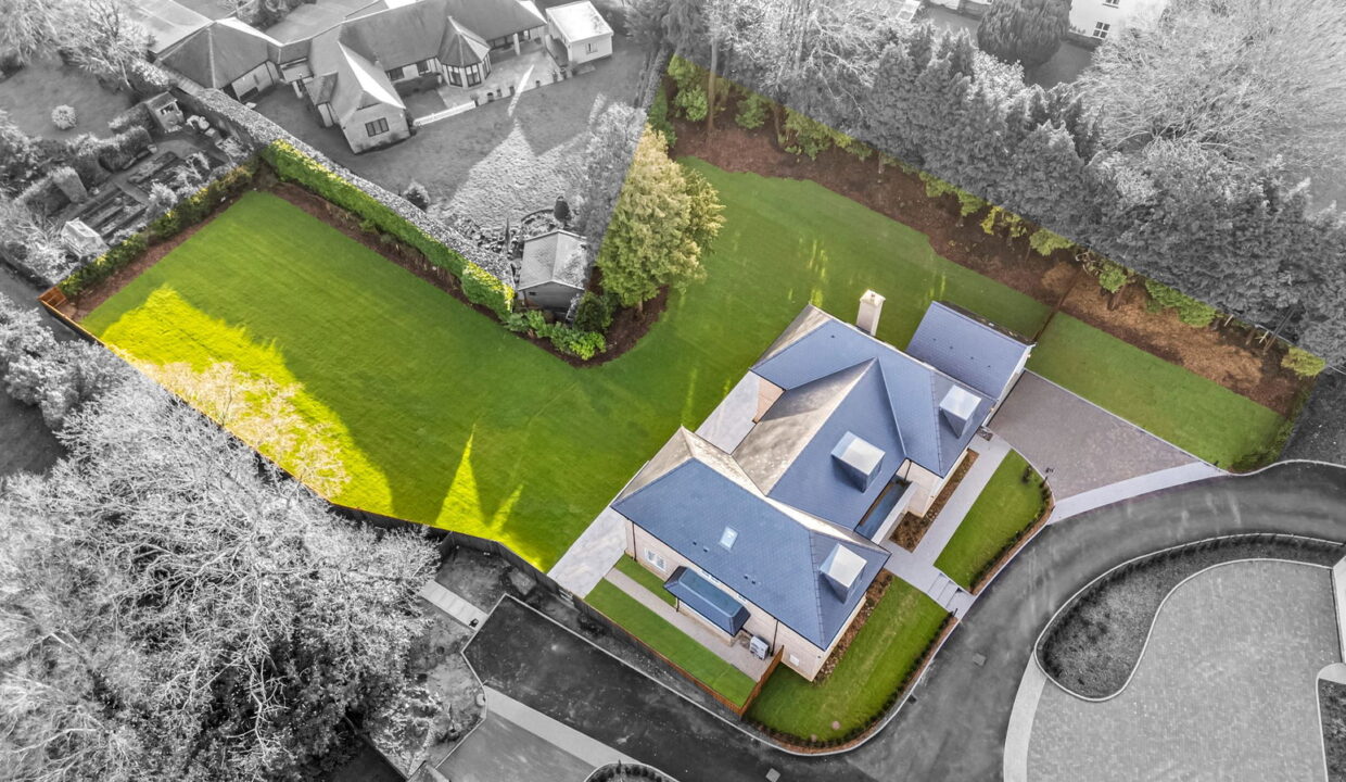 Plot-4-008_1_bw_1772190495605