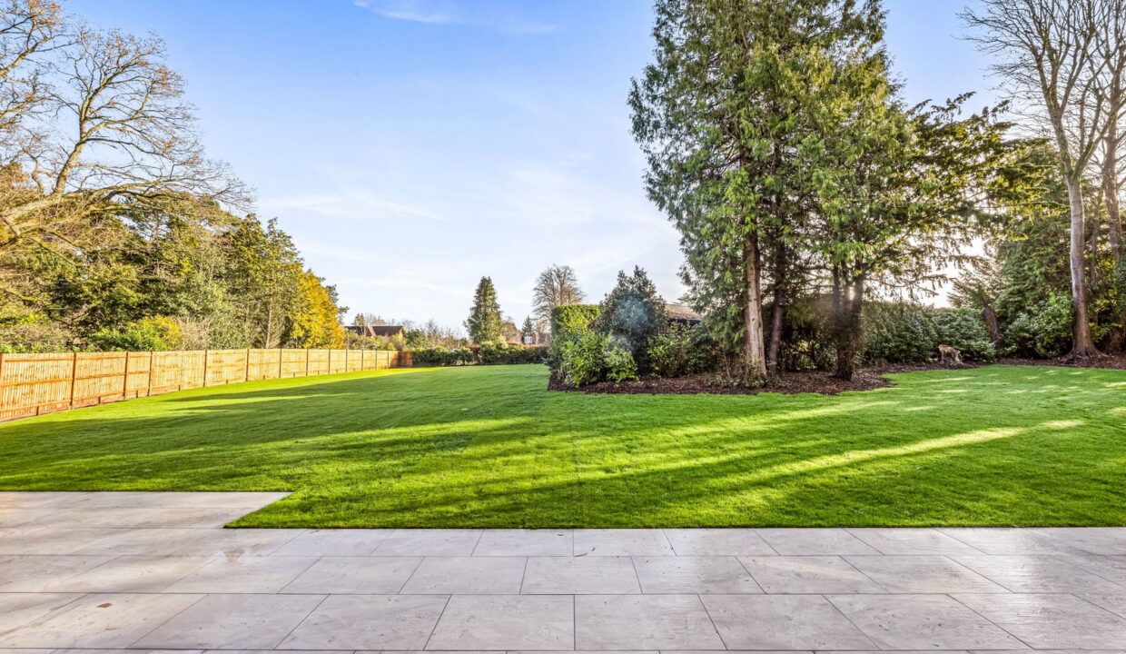 Plot-4-011_1__1772190495612