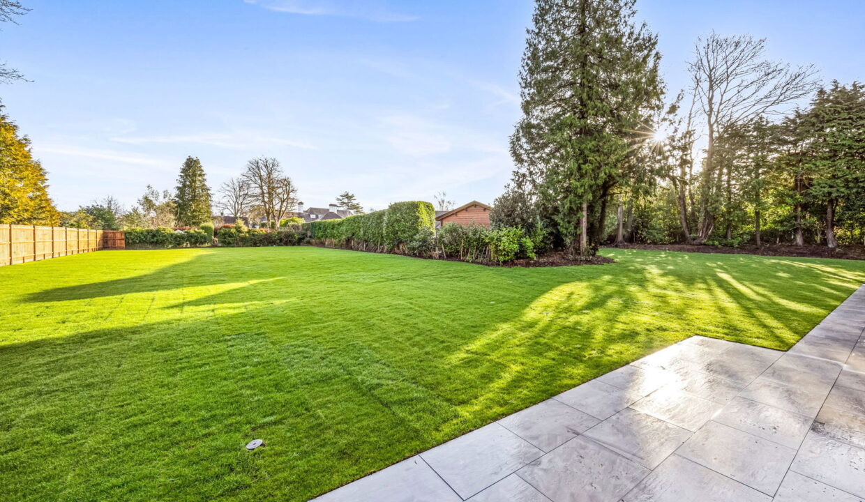 Plot-4-012_1__1772190495613