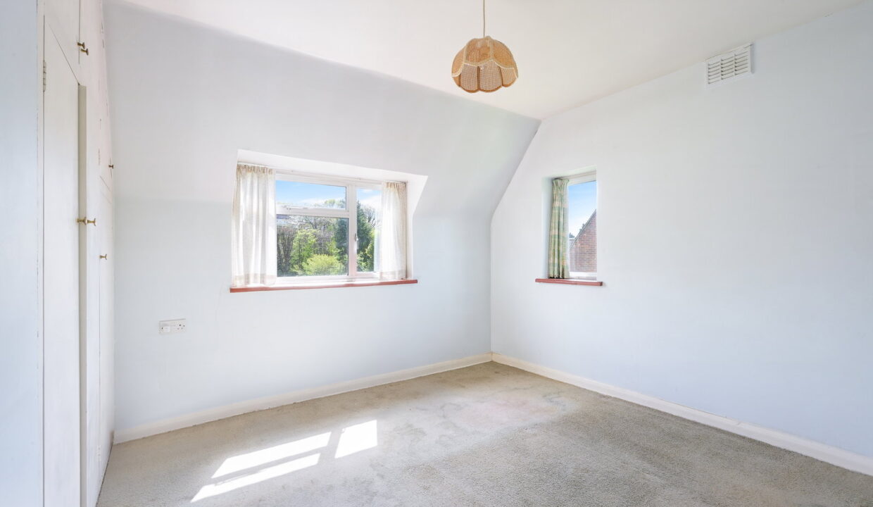 PARK-ROAD_-20-_10__1776797567019