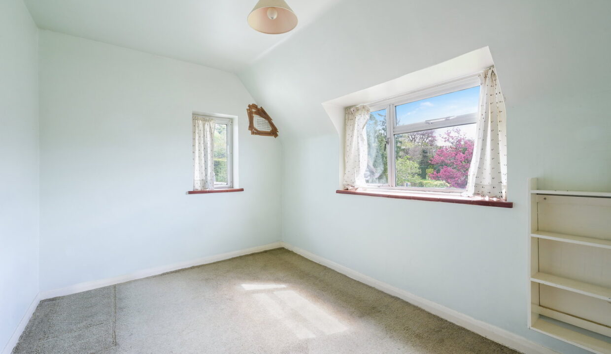 PARK-ROAD_-20-_11__1776797567018