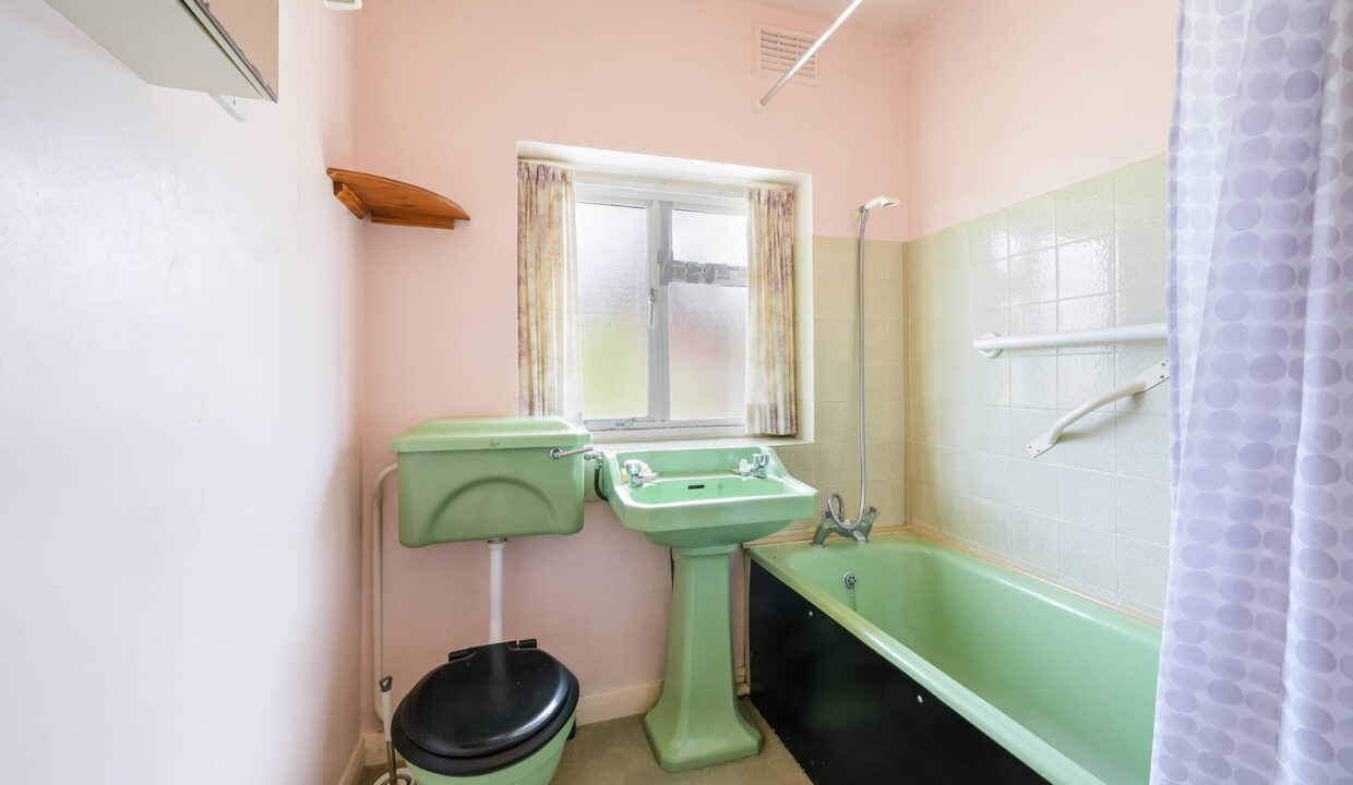 PARK-ROAD_-20-_12__1776797546849