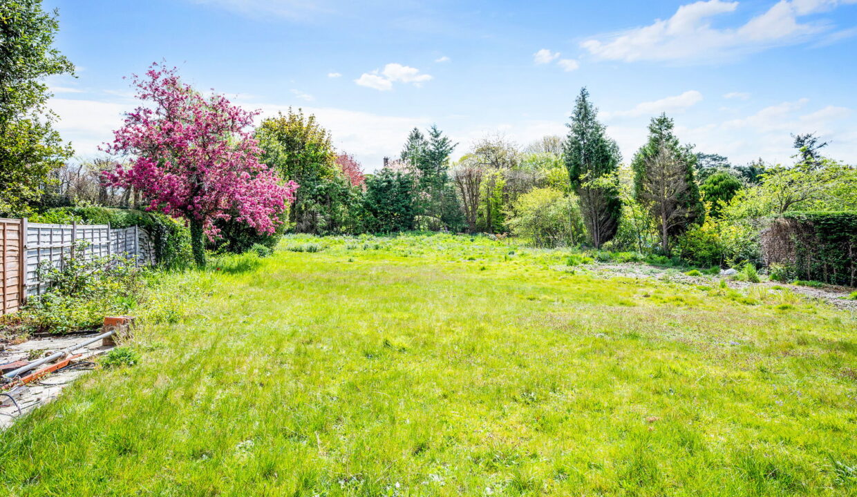 PARK-ROAD_-20-_13__1776797546847