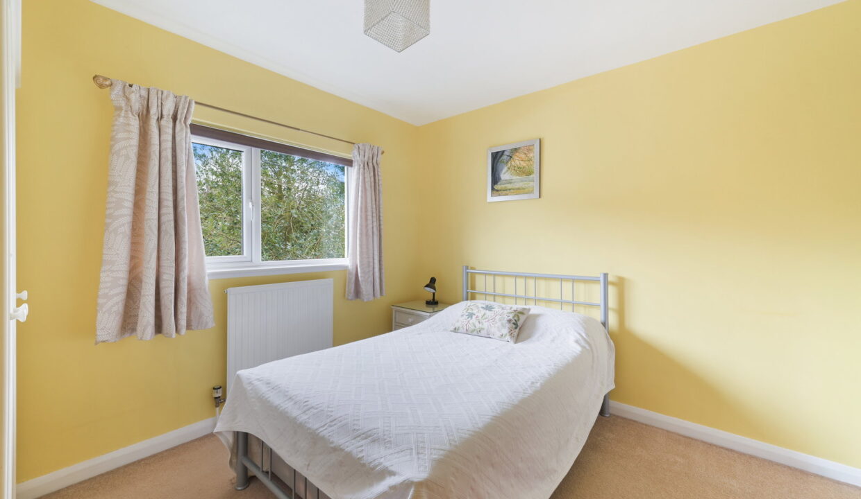 SPRINGFIELD_-1-_10__1774535296253