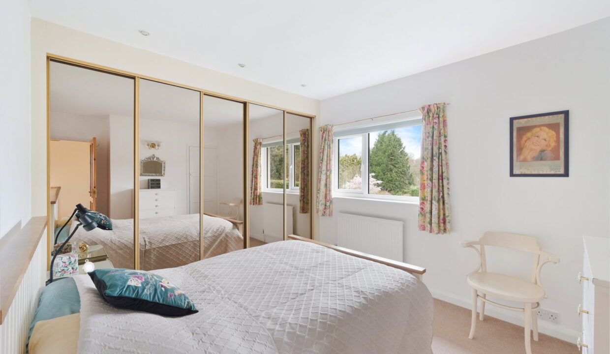 SPRINGFIELD_-1-_11__1774535296252