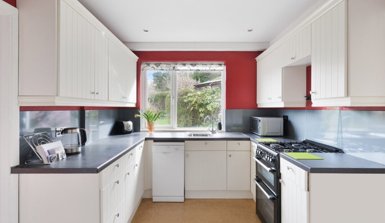 SPRINGFIELD_-1-_13__1774535284304