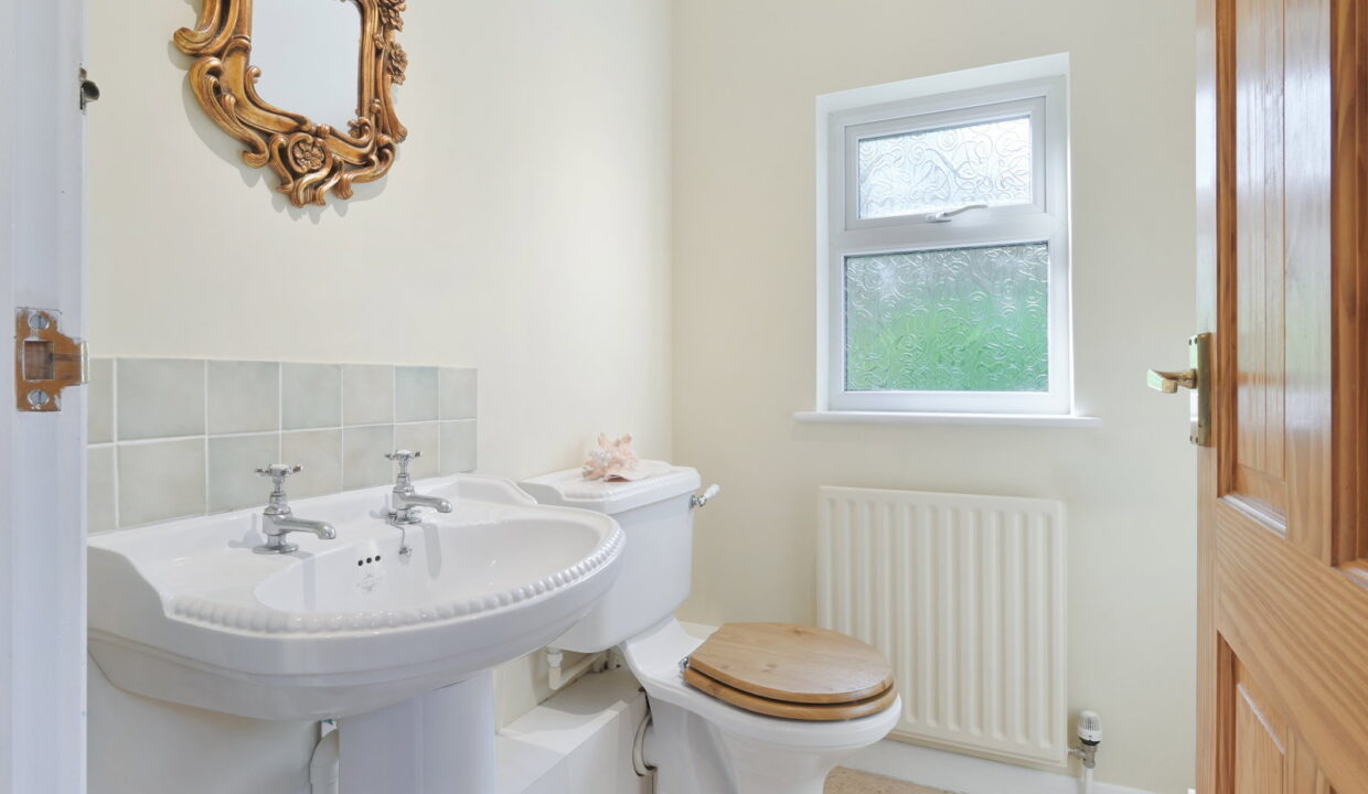 SPRINGFIELD_-1-_15__1774535284303