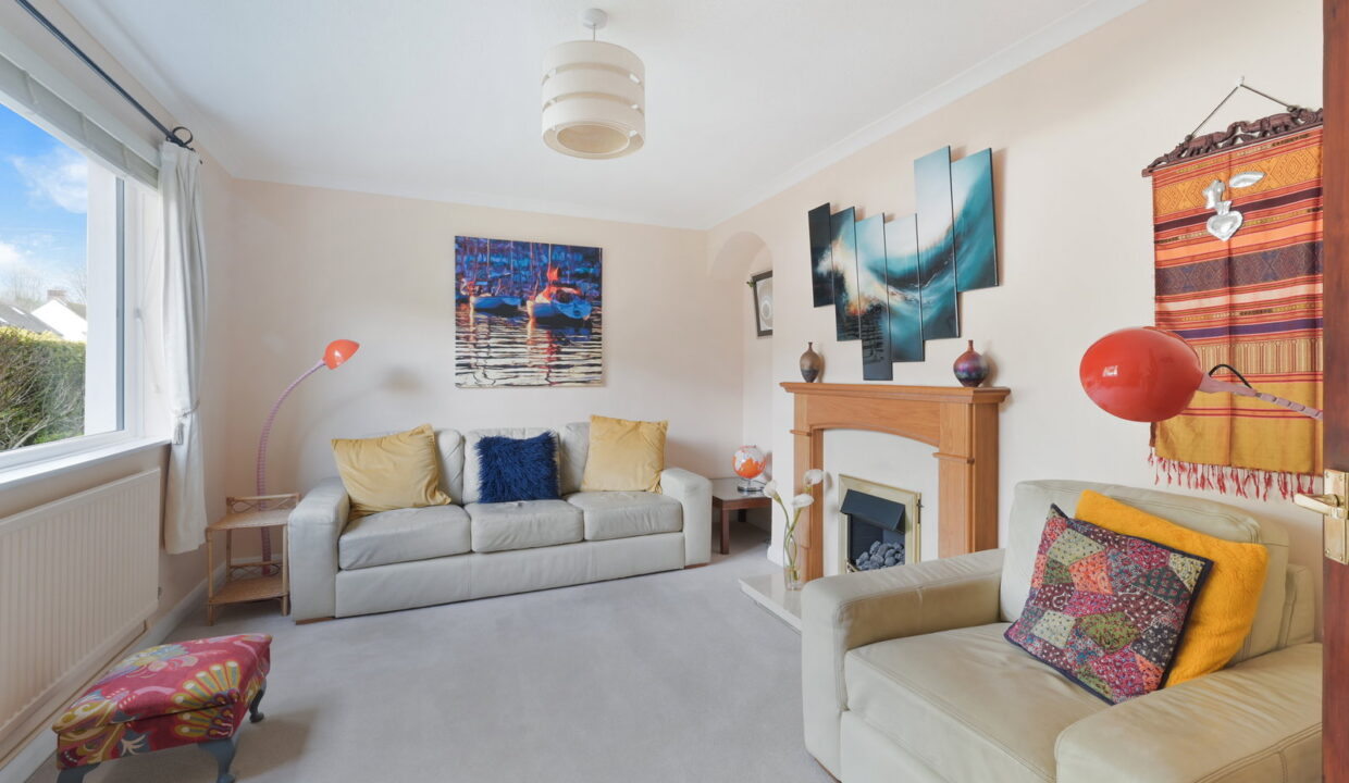 SPRINGFIELD_-1-_16__1774535284303