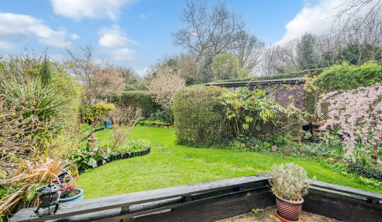 SPRINGFIELD_-1-_1__1774535305835