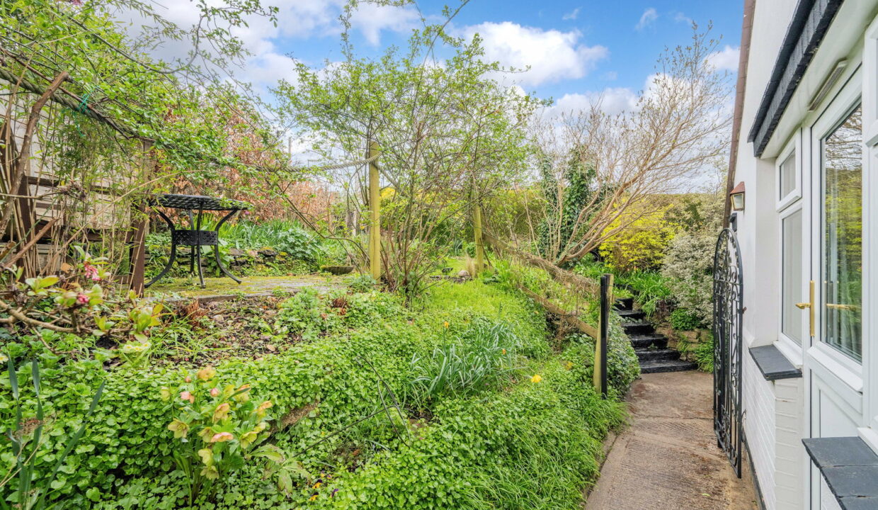 SPRINGFIELD_-1-_4__1774535305834