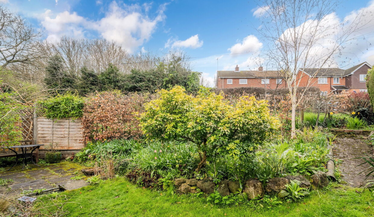 SPRINGFIELD_-1-_5__1774535296254