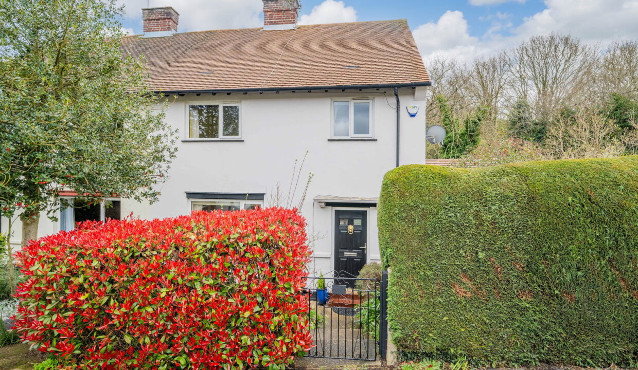 SPRINGFIELD_-1-_6__1774535296253