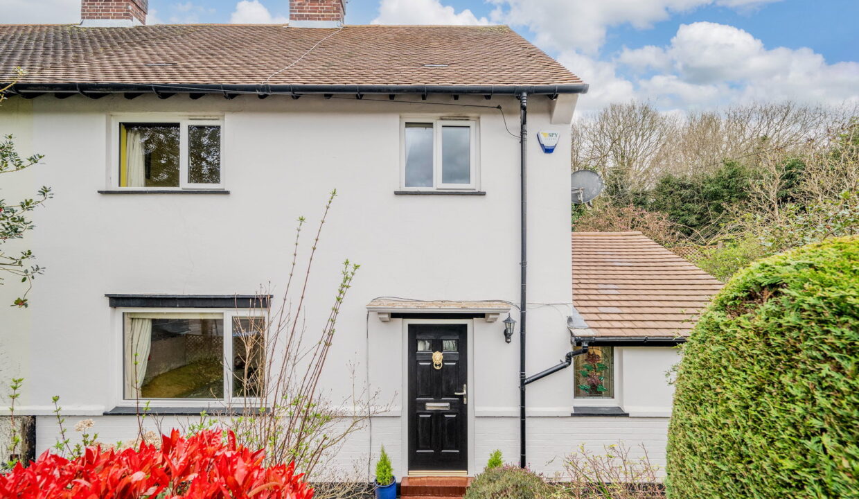 SPRINGFIELD_-1-_7__1774535296253