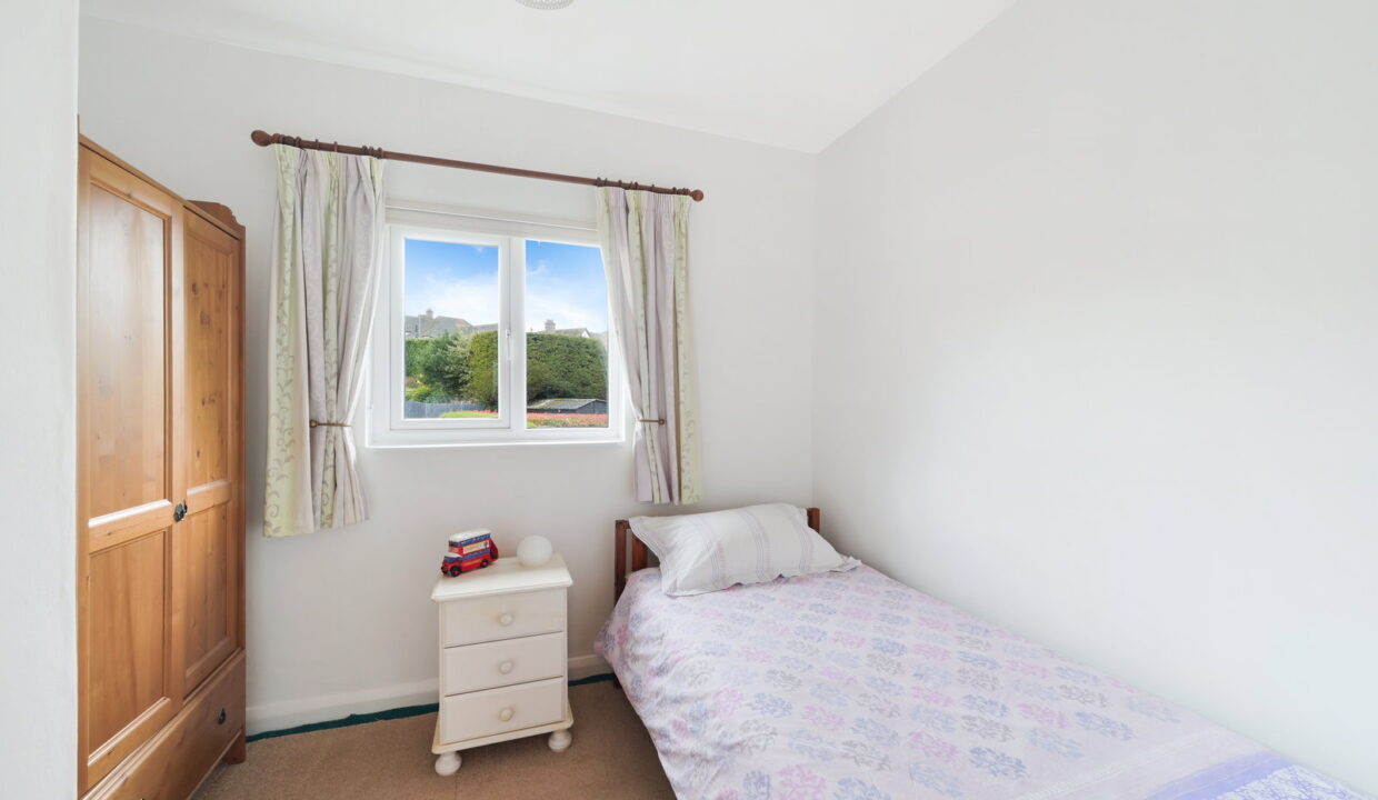 SPRINGFIELD_-1-_9__1774535305835