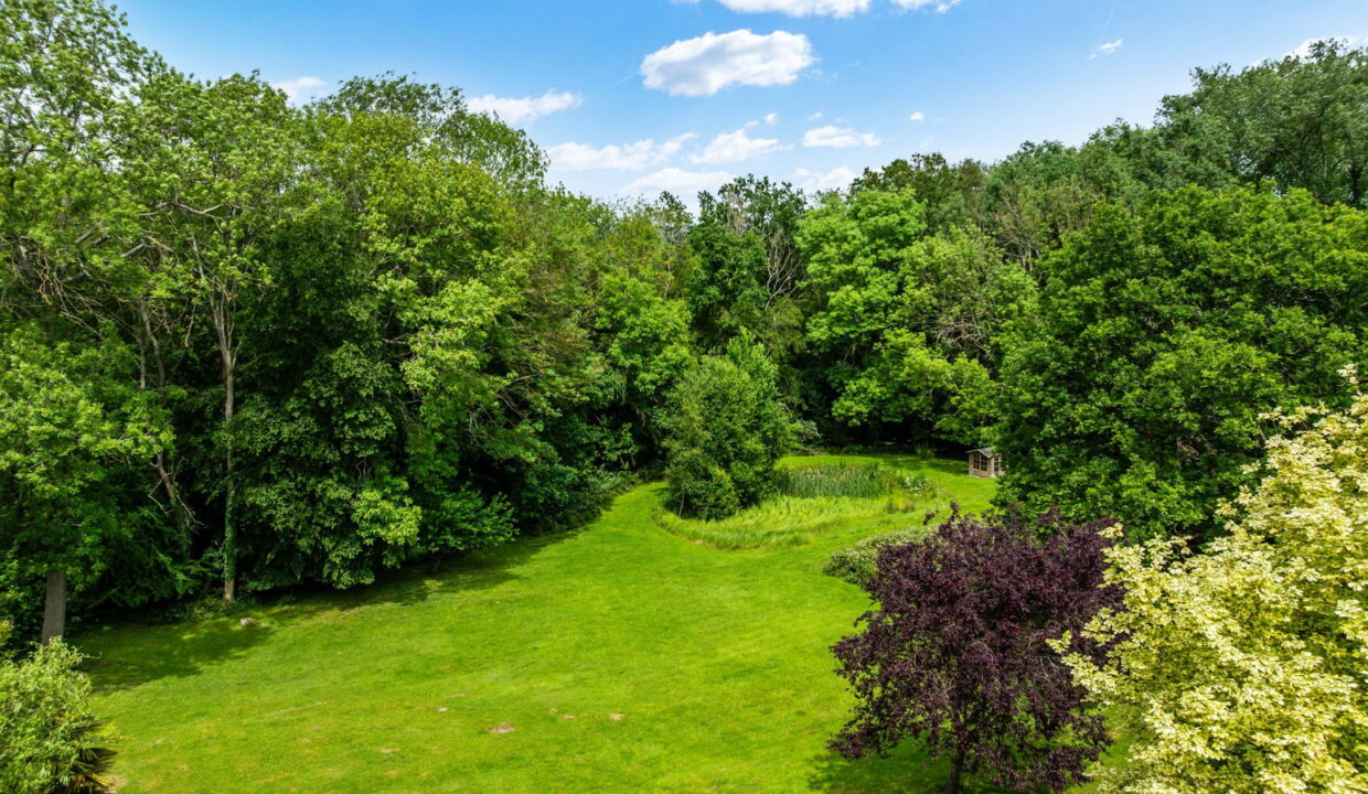 WOODLAND-DELL-DRONE-_1__1781610550749