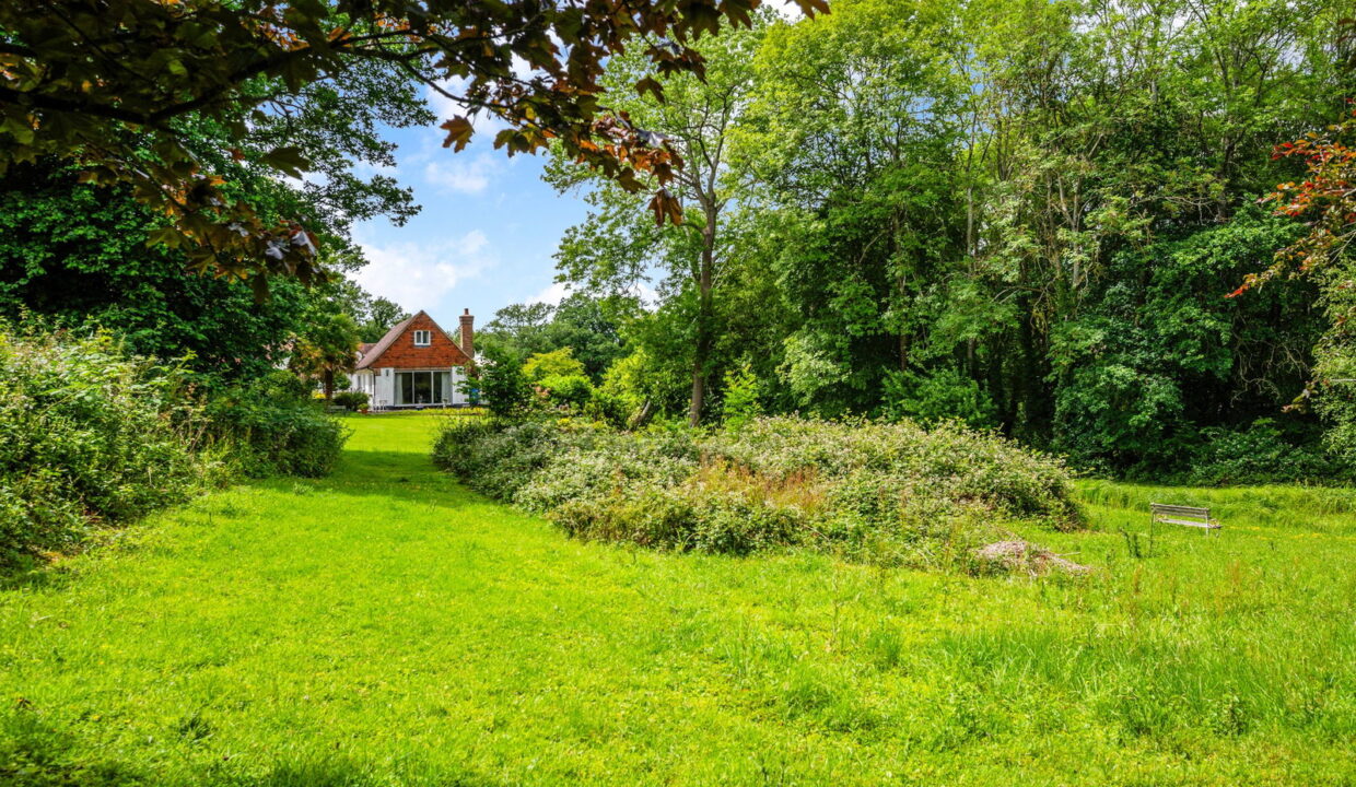WOODLAND-DELL-_7__1781610304857