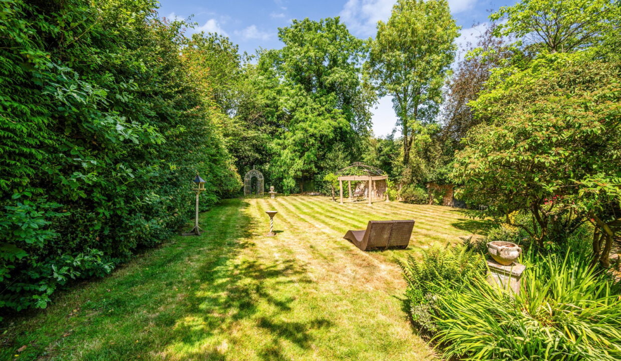 17_-Back-Garden-No.-37_1783456073570