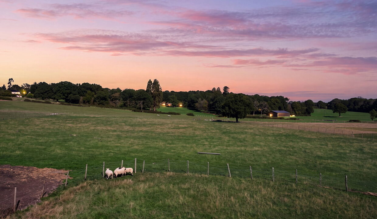 MEADOW-VIEW_-PLOT-_14_-1_1790234536934