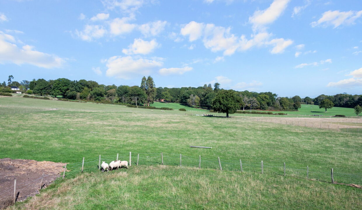 MEADOW-VIEW_-PLOT-_14__1790179568559