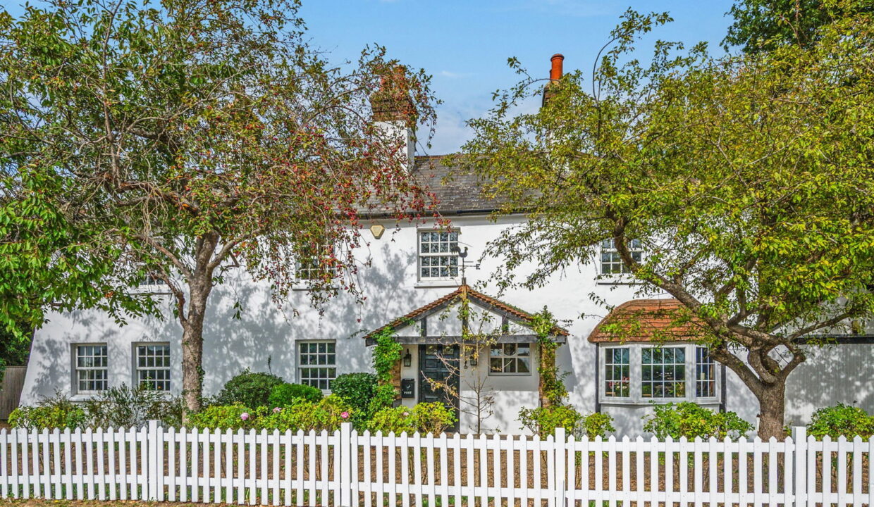 WHITEGATES-EXTRA-30__edited_1790942710307