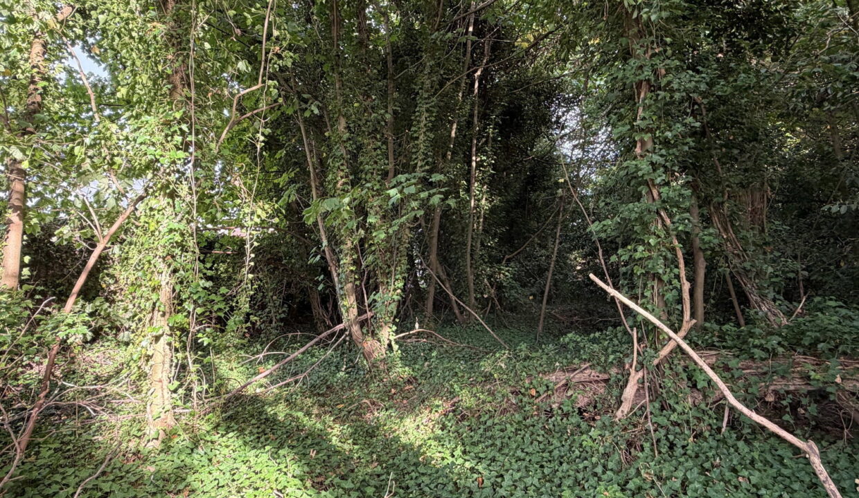 map-screenshot-1786092947277_1791384518208